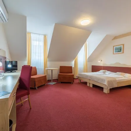 Hotel Wellness Iris Pavlov
